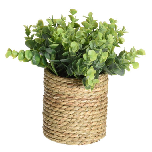 Artificial Plant In Pot