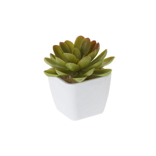 Artificial Succulent Plant in Pot