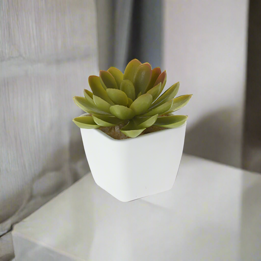 Artificial Succulent Plant in Pot