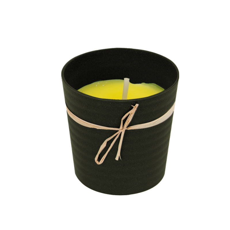 Citronella Candle In Eco Pot