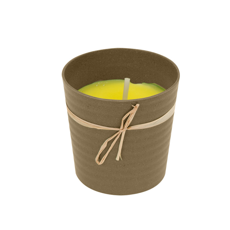 Citronella Candle In Eco Pot