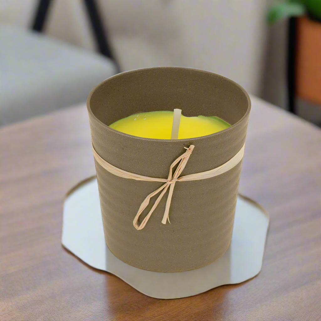 Citronella Candle In Eco Pot