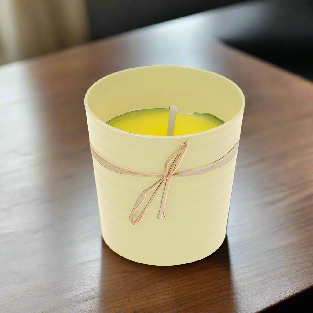 Citronella Candle In Eco Pot