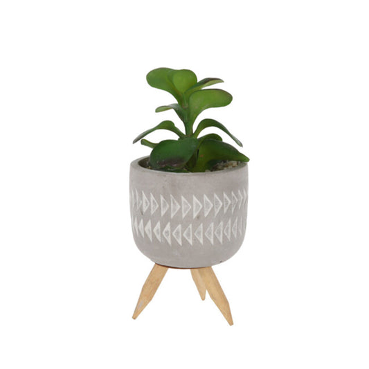 Plant In Pot Cement 8x8x16cm