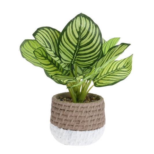 Faux Plant in Cement Pot