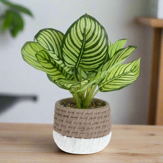 Faux Plant in Cement Pot