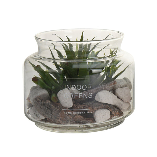 Succulent Plant in Glass Pot