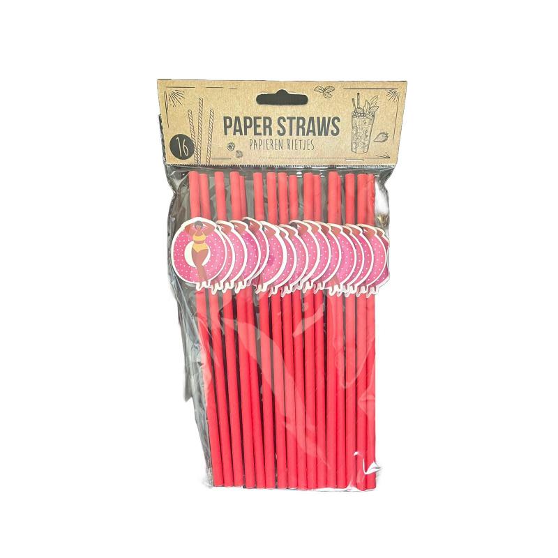 Drinking Paper Straw Set 16Pcs